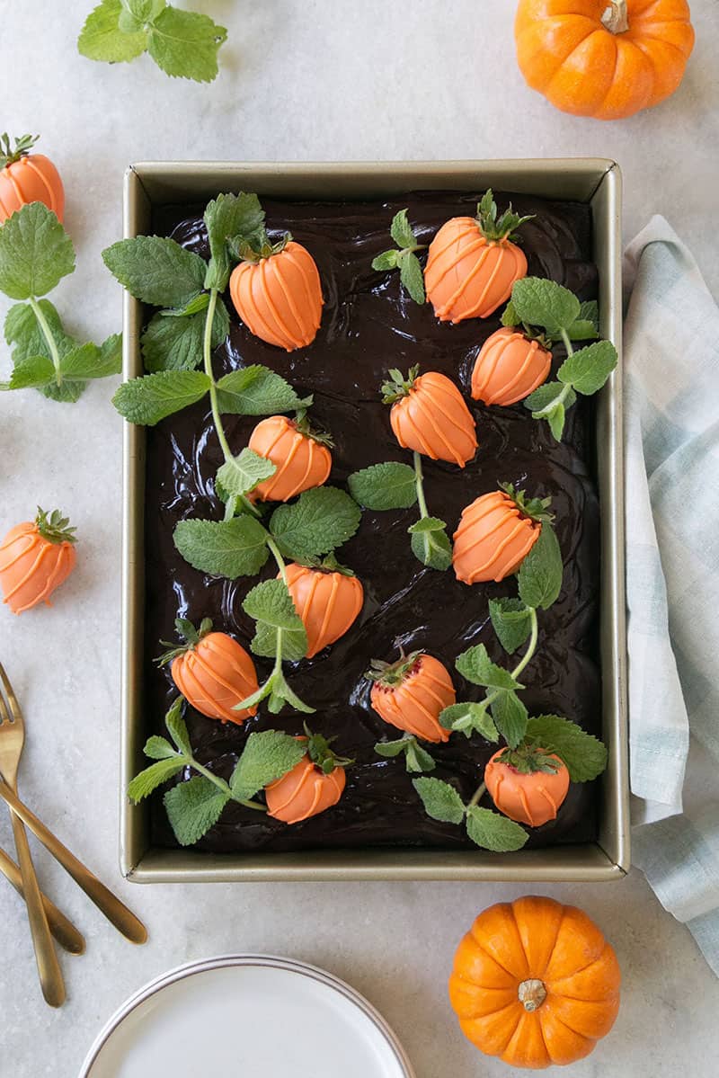 Black sheet cake with orange pumpkin strawberries.