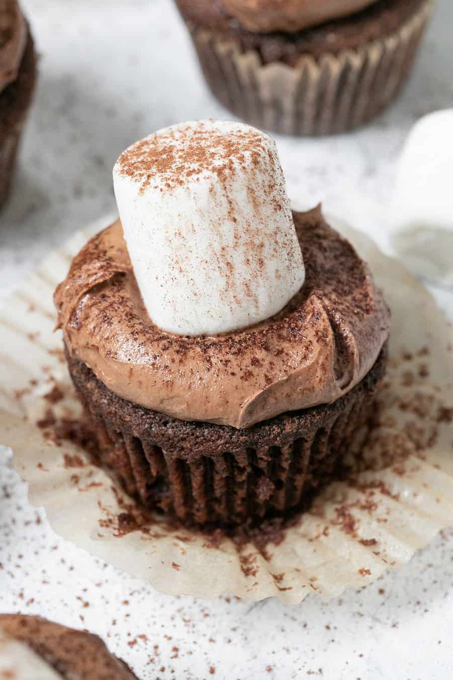 Chocolate cupcake with large marshmallow and chocolate frosting