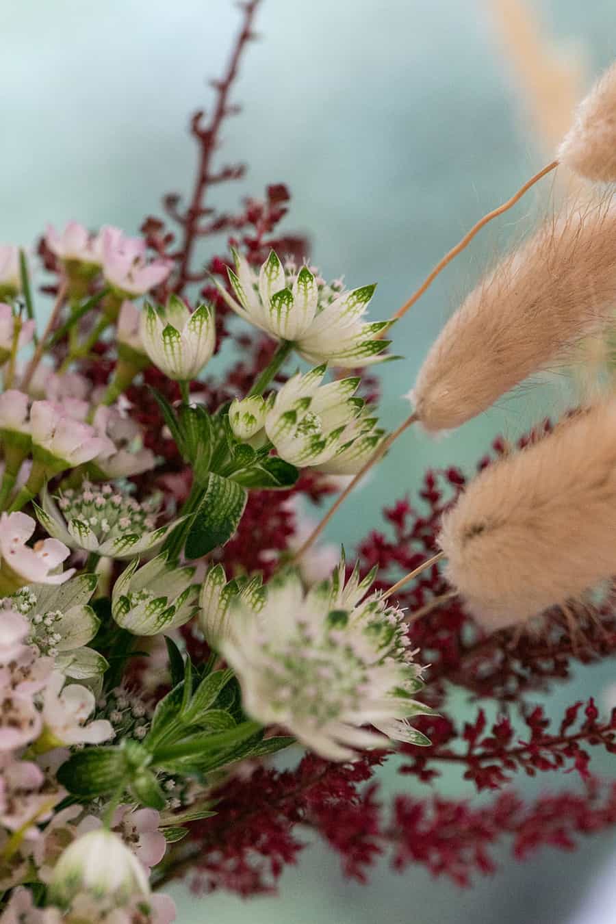 Fall flowers