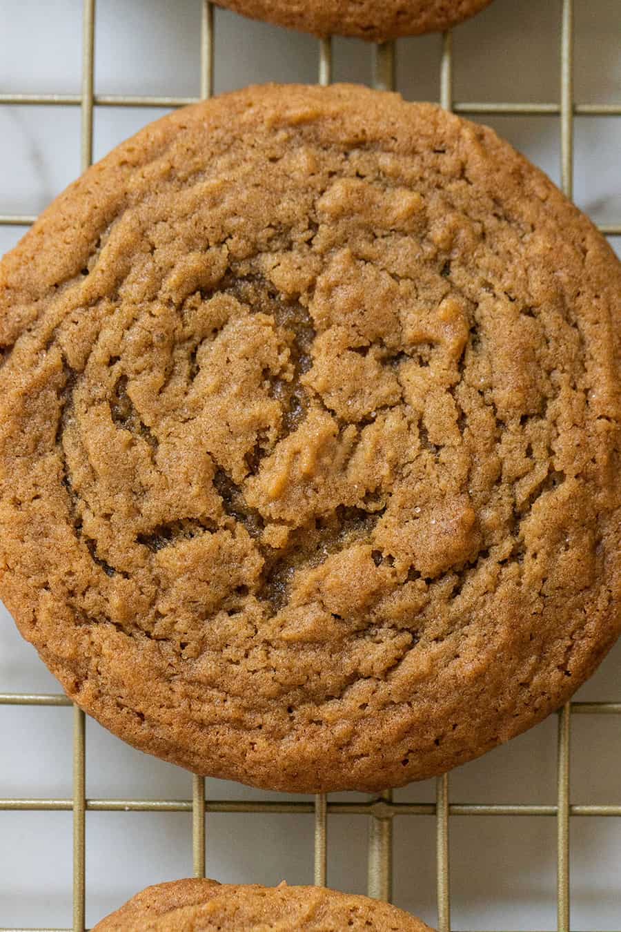 Chewy ginger cookie close up picture