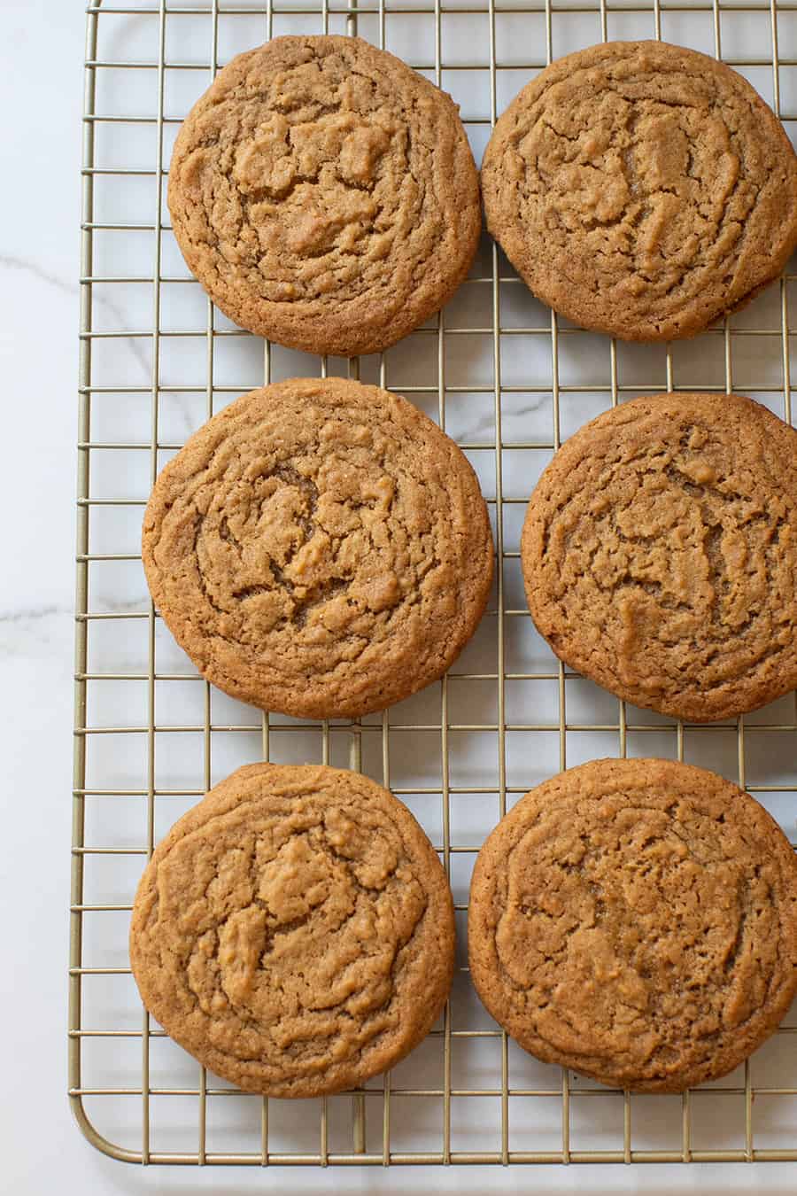 Ginger cookies on a cookie sheet.