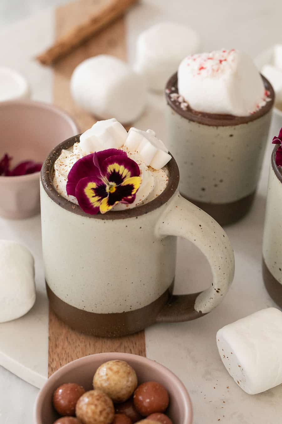 The best homemade hot chocolate in a mug topped with whipped cream and and an edible flower. 