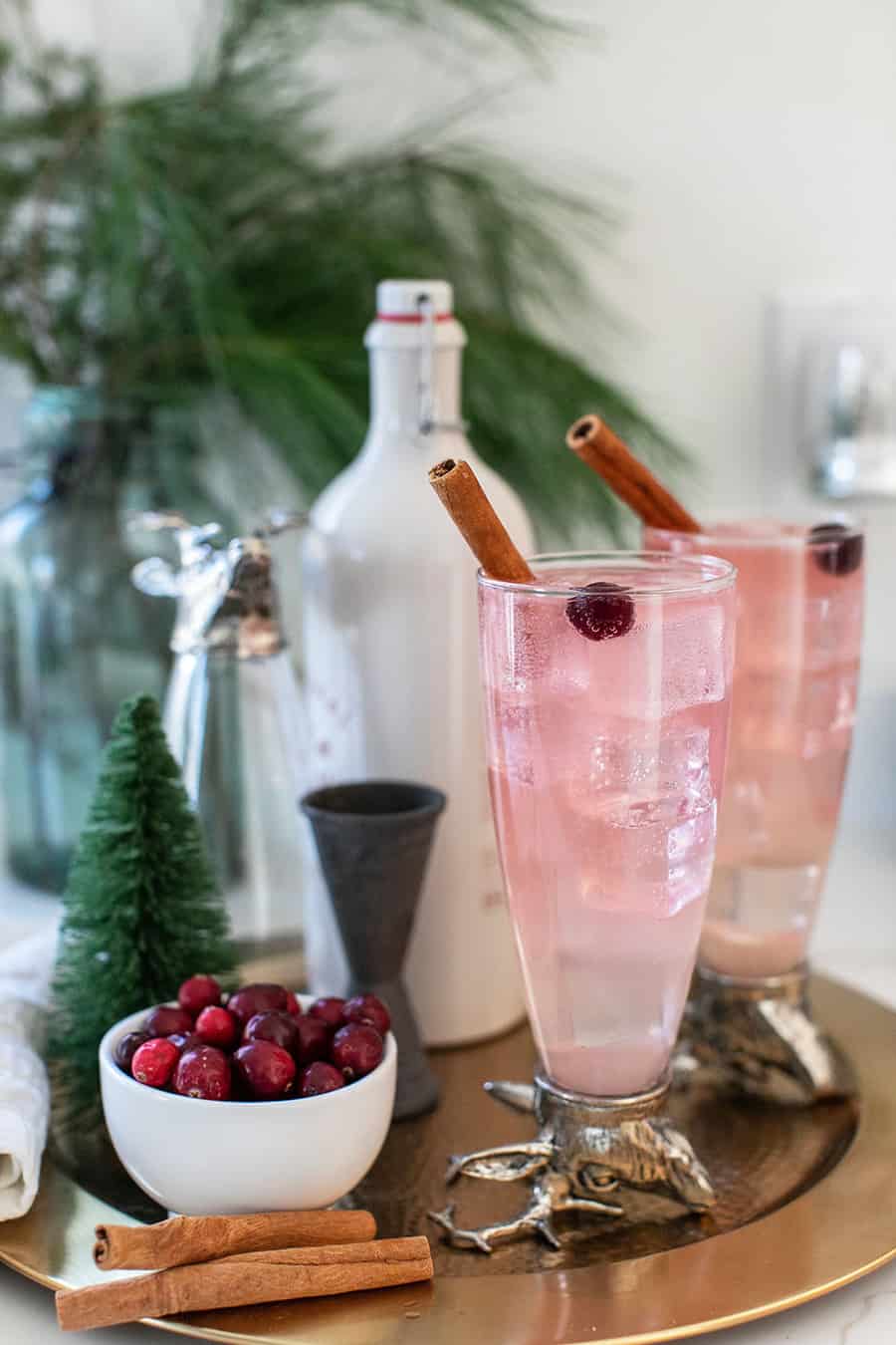 Christmas cocktail with pink color, cranberry and cinnamon