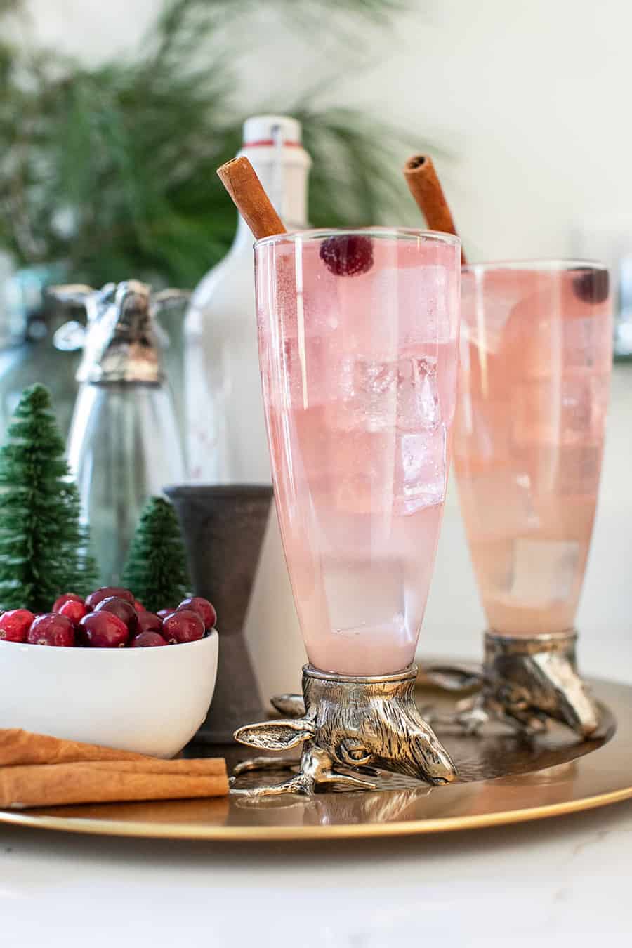 Festive collins cocktail with cranberry and cinnamon syrup