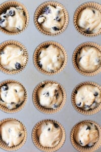 blueberry muffin batter in muffin tin