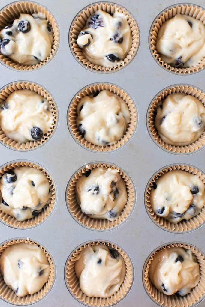 blueberry muffin batter in a muffin tin
