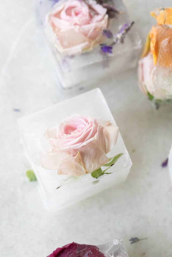 floral ice cube