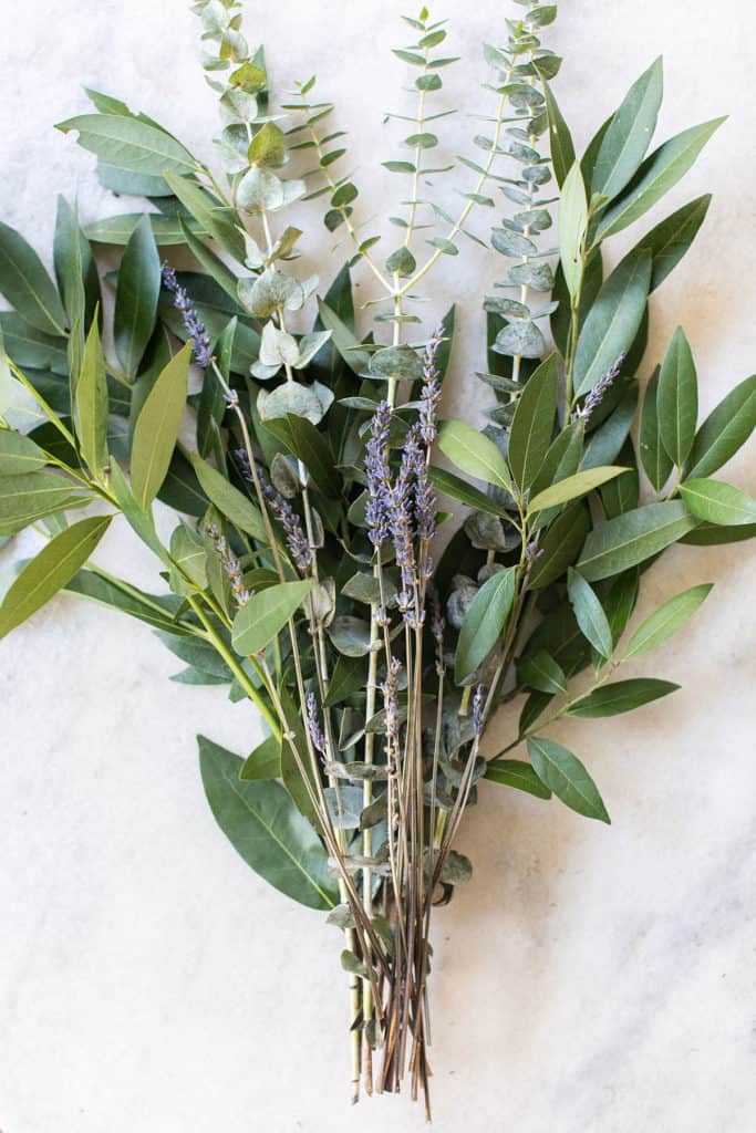 eucalyptus and lavender 