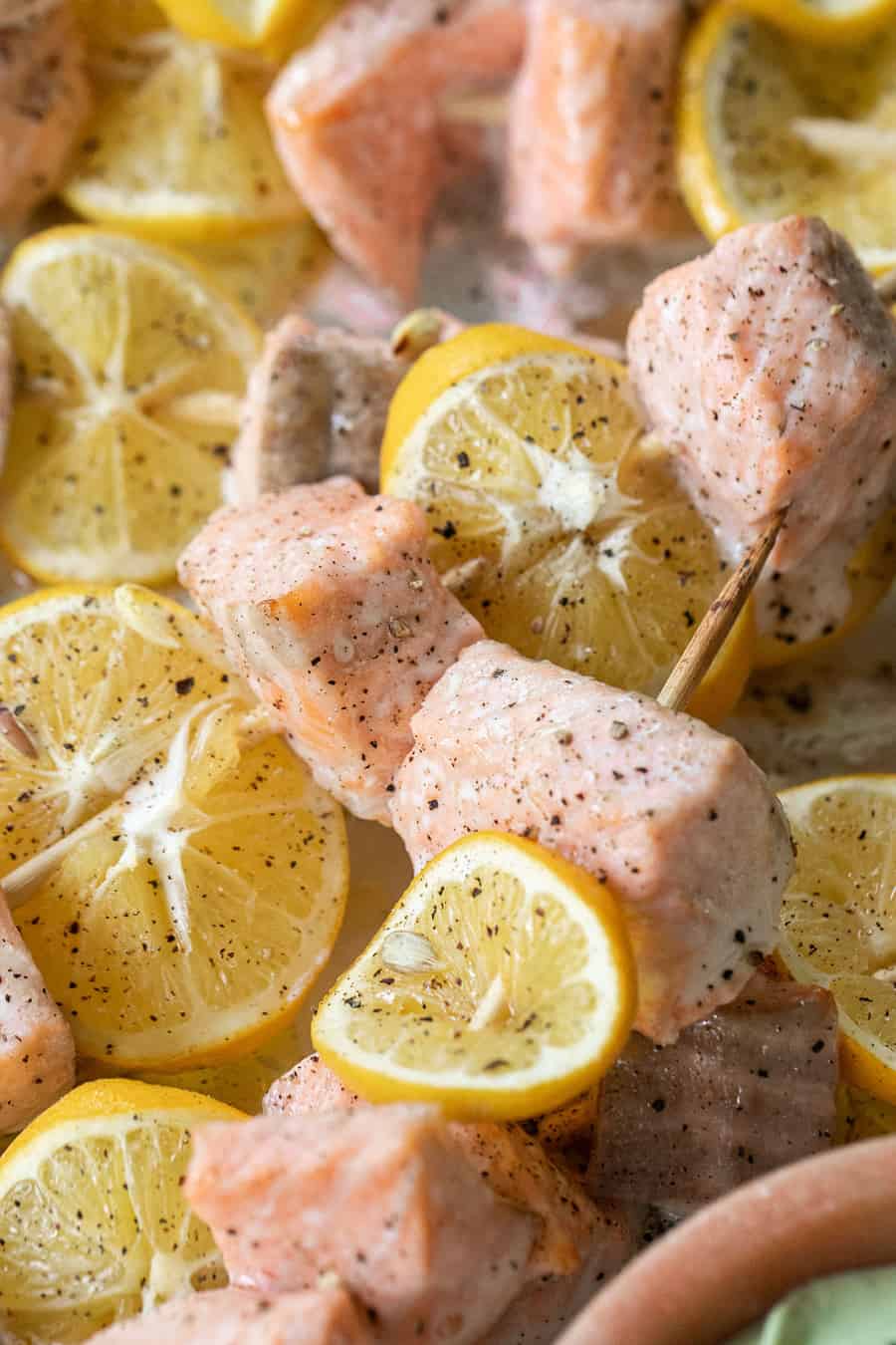 salmon skewer