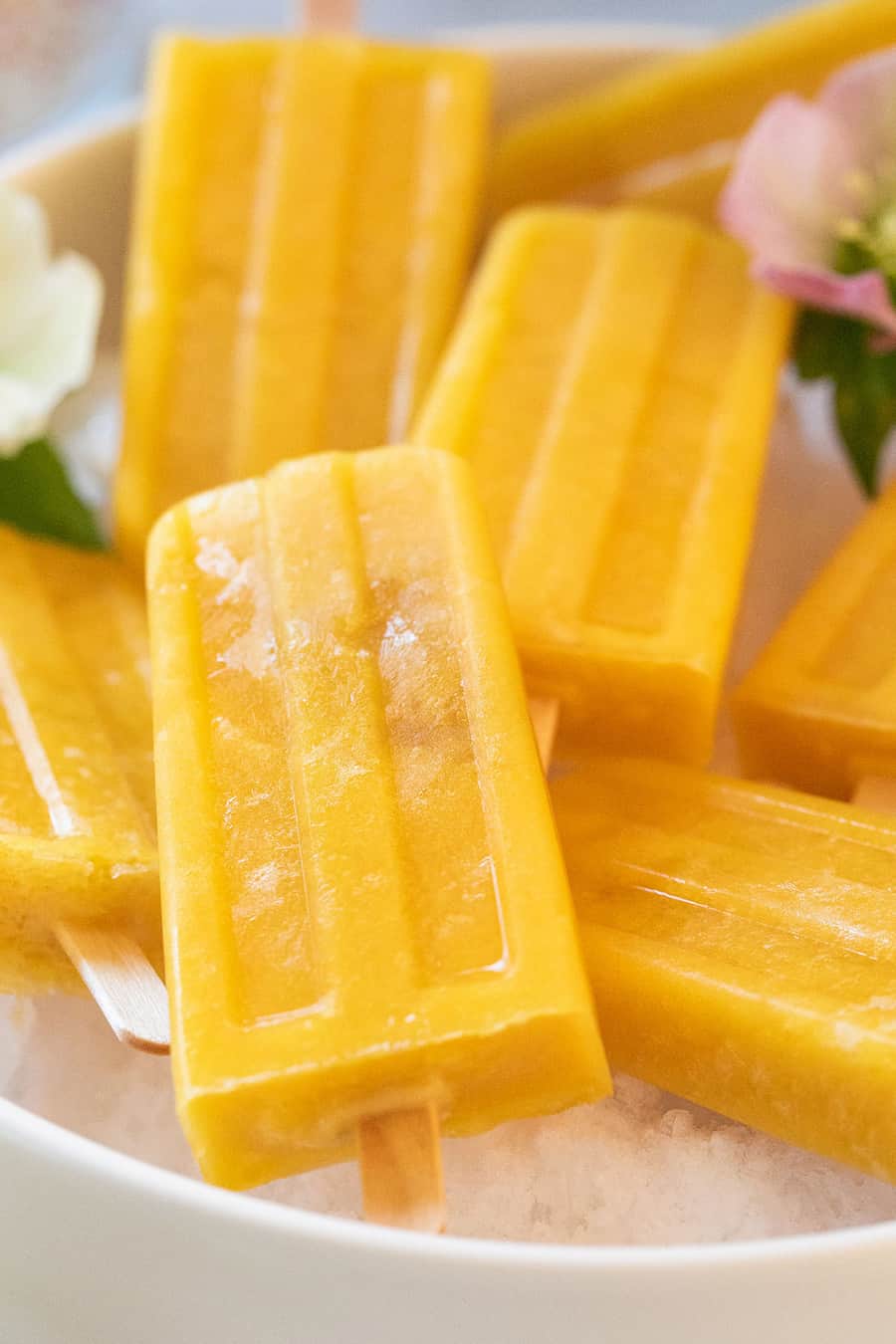 Diy Popsicle Molds · How To Make An Ice Lolly · Recipe by ZanyDays