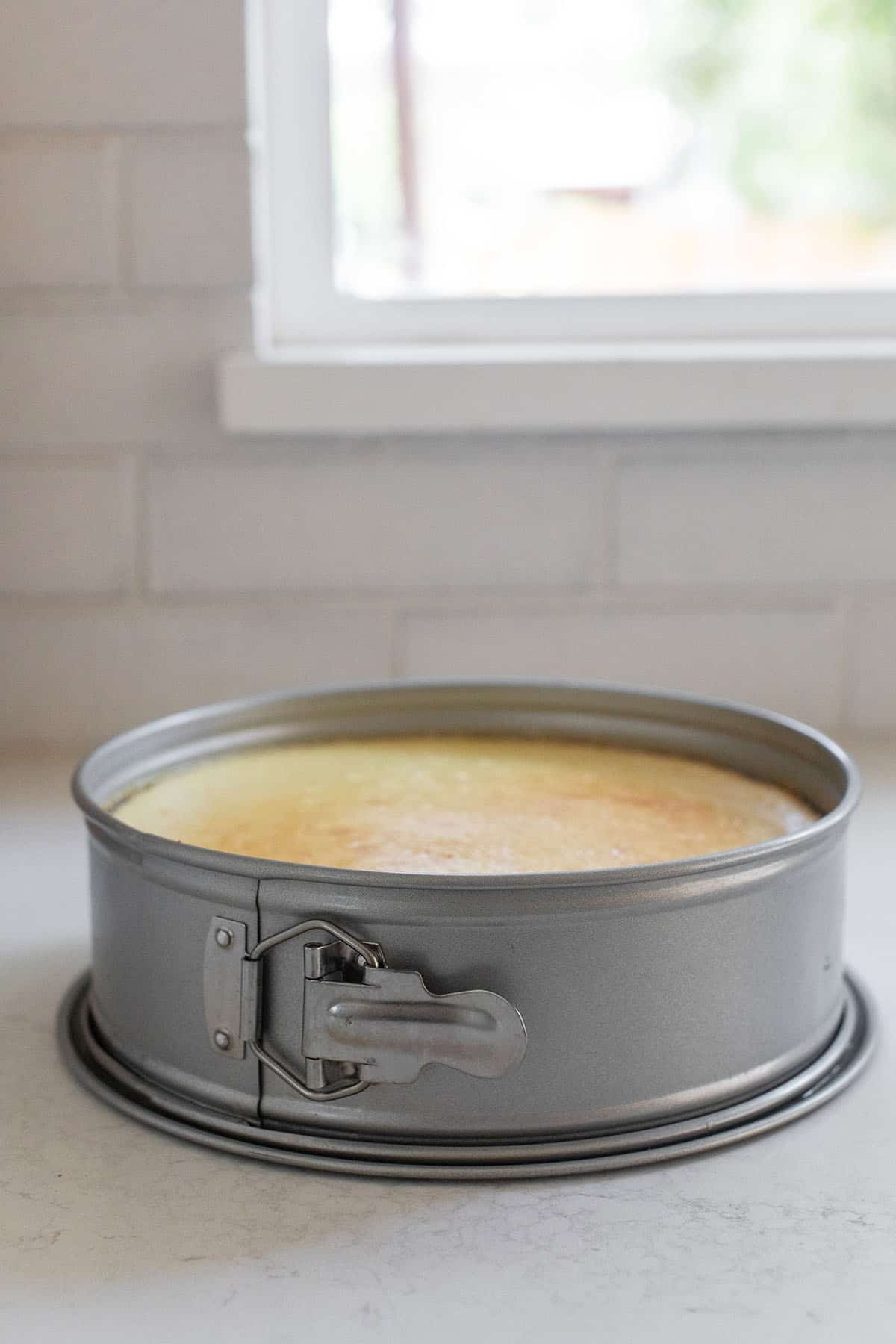 Cheesecake in a springform pan.