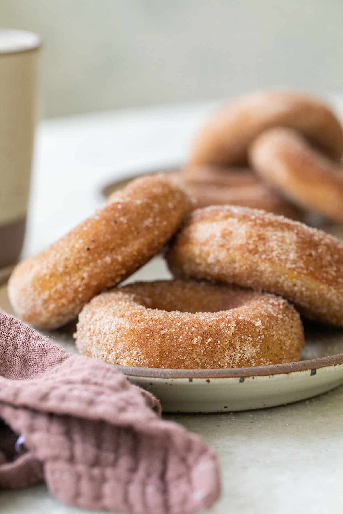Baked apple cider donuts on a plate.