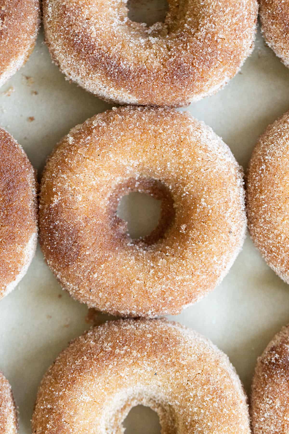 Cinnamon and sugar homemade donuts.
