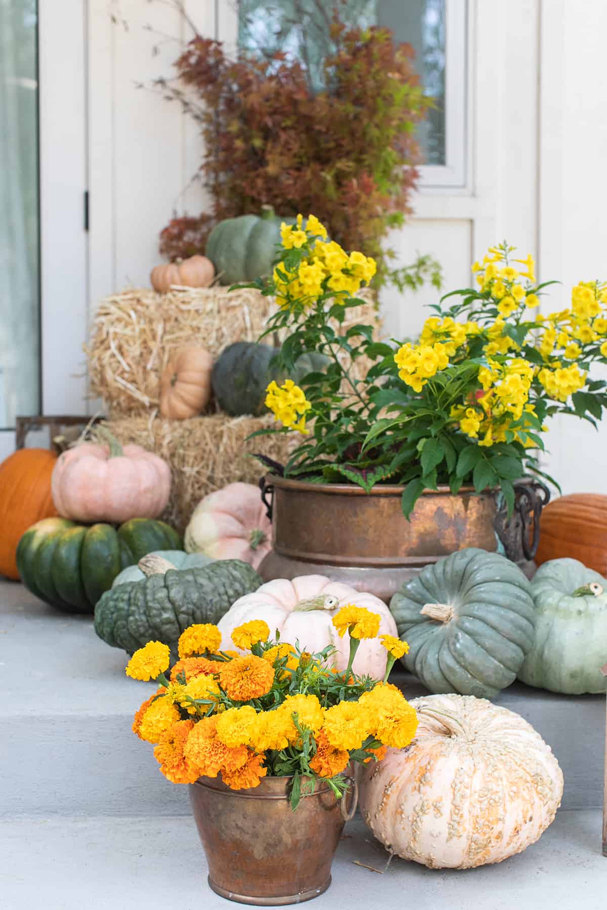 pumpkins and flowers