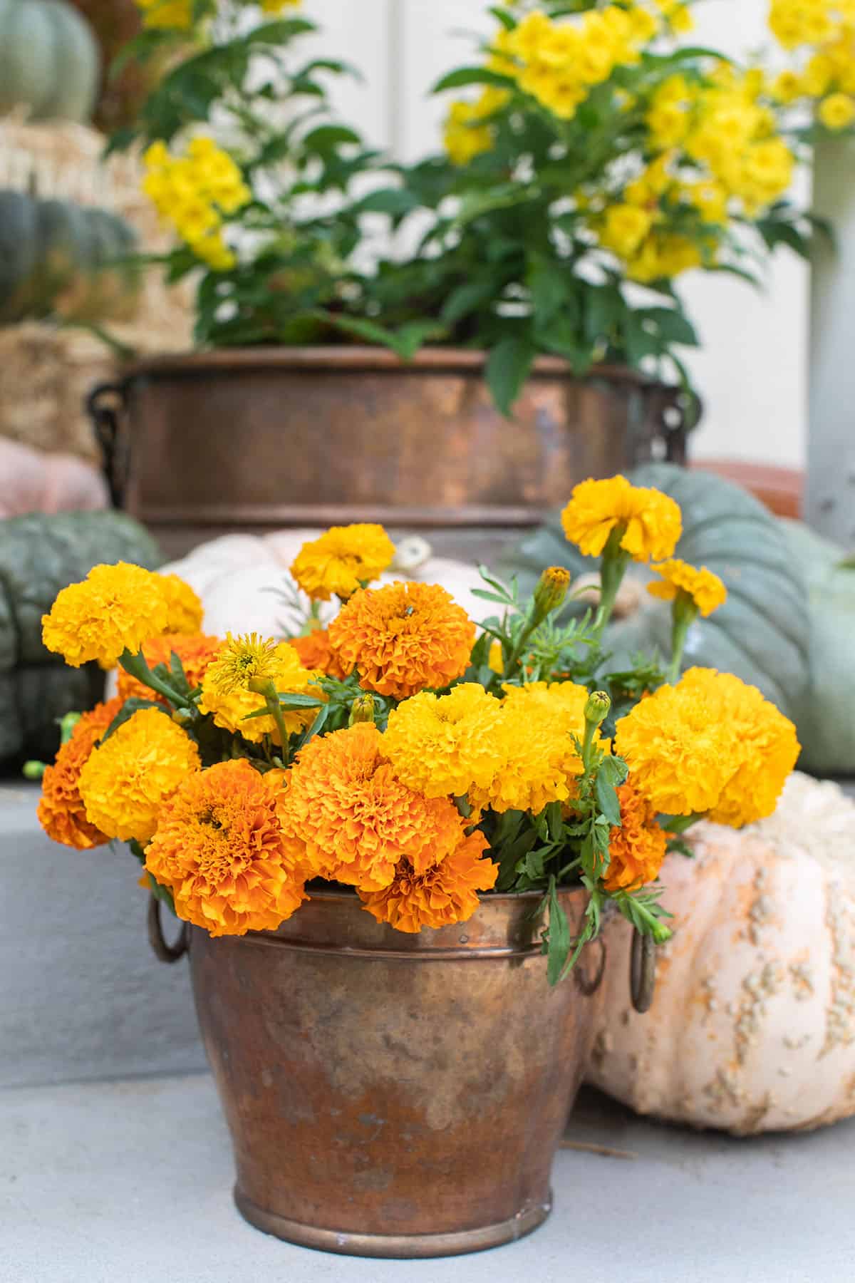 fall porch flowers