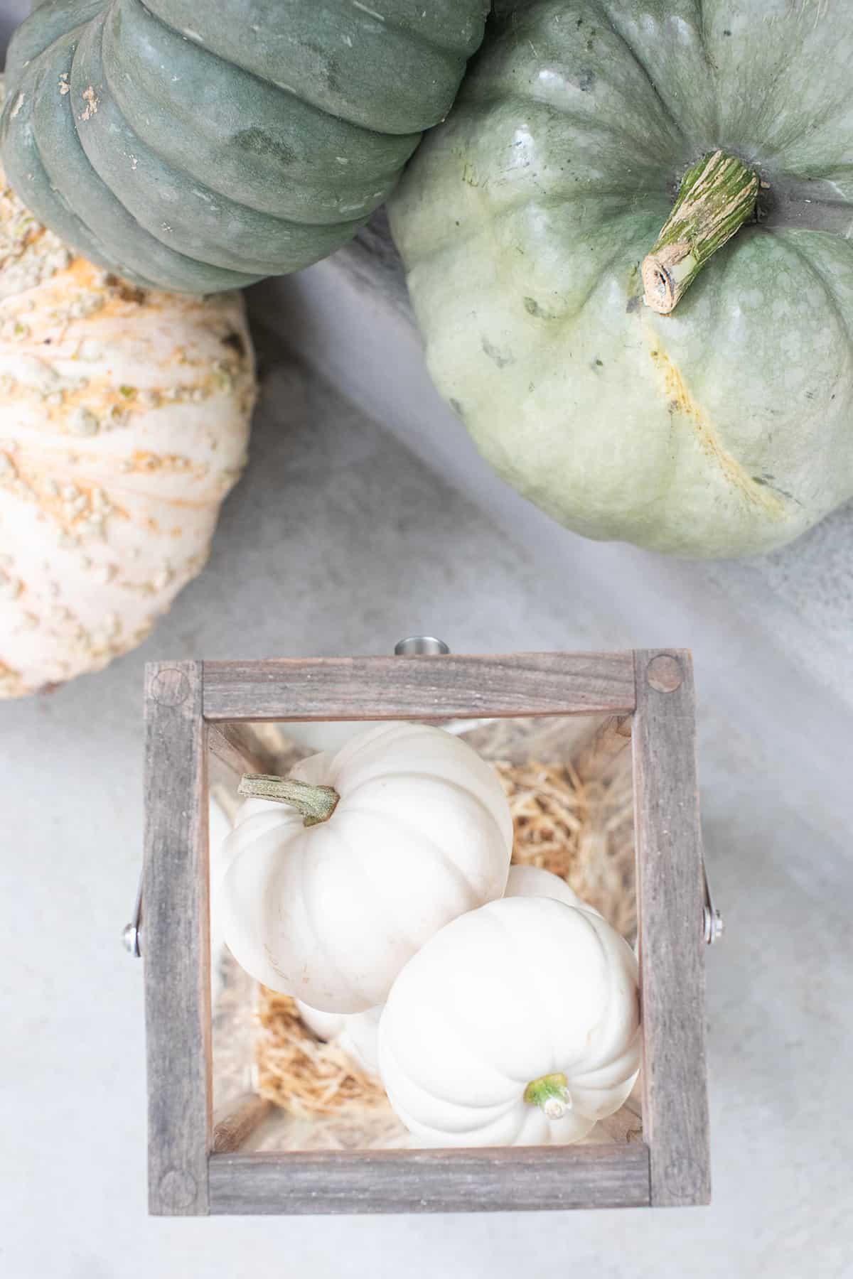 white pumpkins in a lantern 