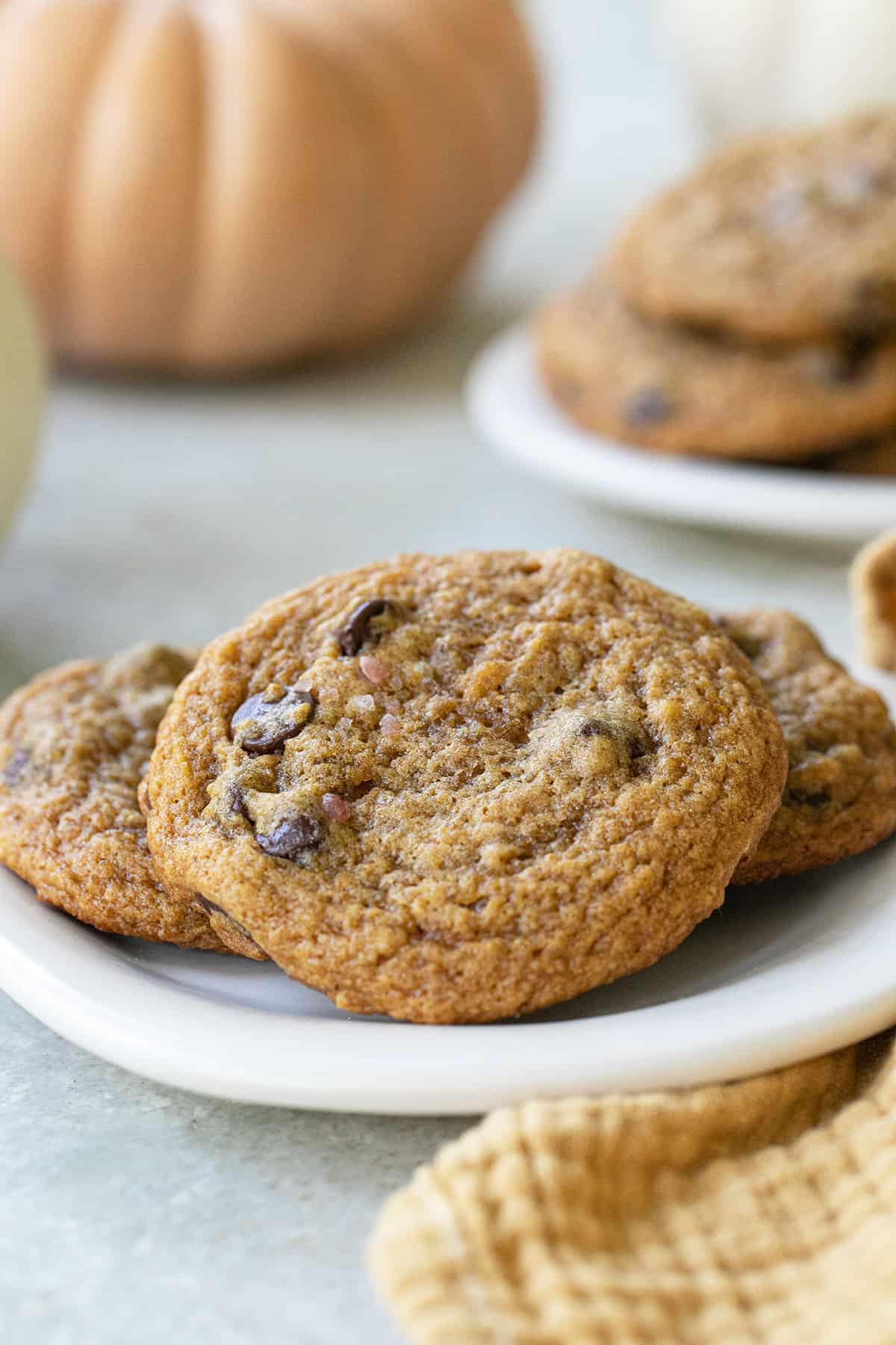 pumpkin cookies with chocolate chips