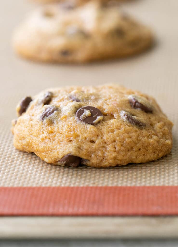 pumpkin chocolate chip cookie out of the oven.
