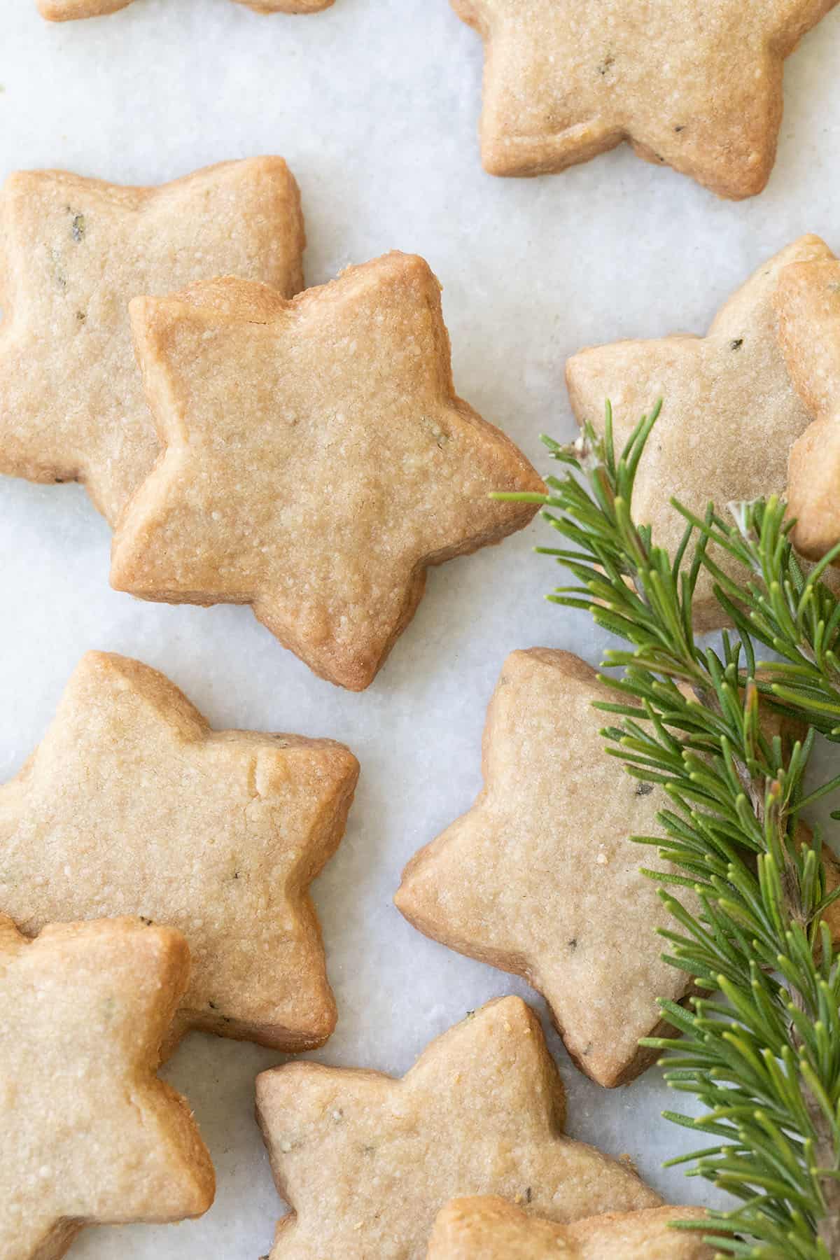 Christmas shortbread cookies - food processor, baking sheets, flour rosemary and salt