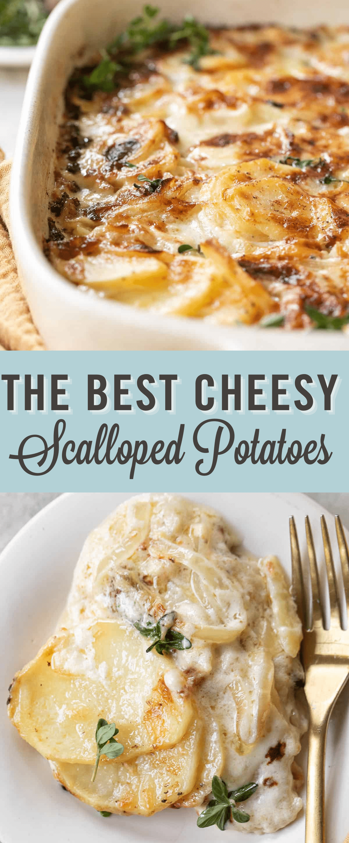 best cheesy scalloped potatoes.