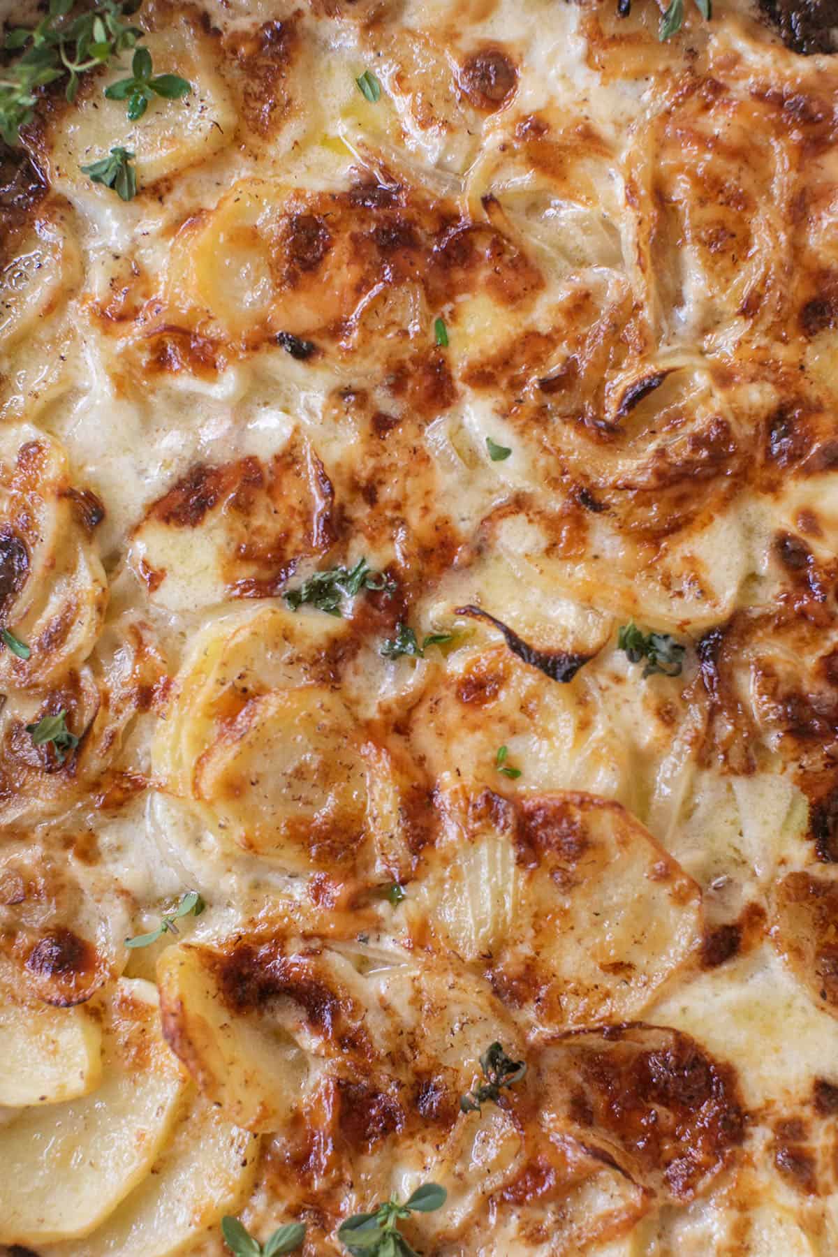 cheesy Scalloped potatoes