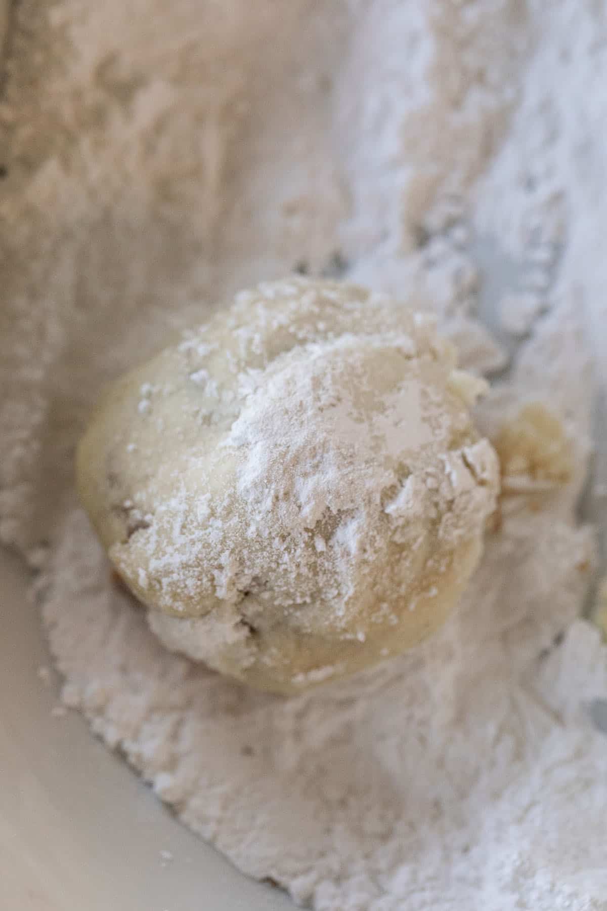 snowball cookie rolled in powdered sugar