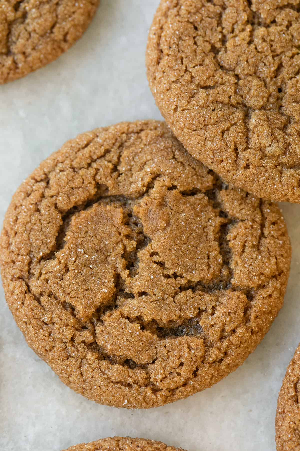 Classic gingersnap cookie with sugar.