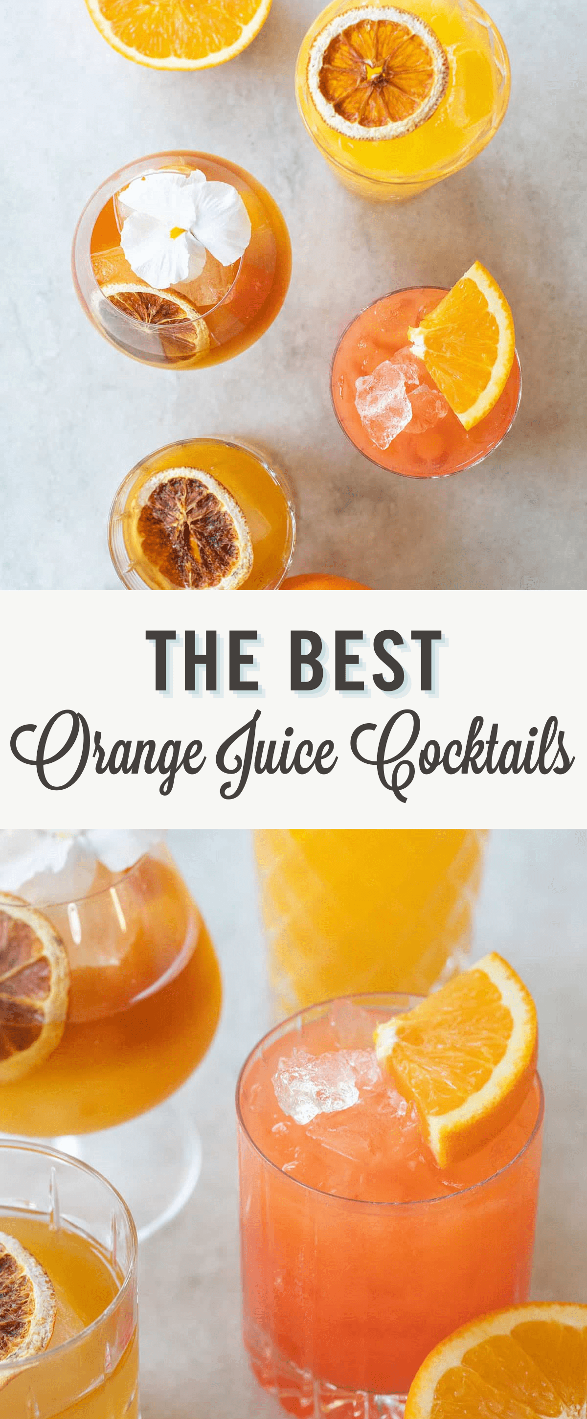 Orange juice cocktail recipes.