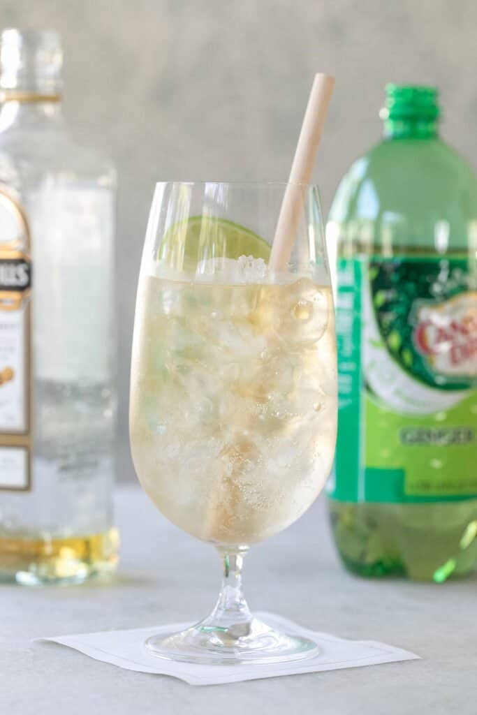 Whiskey and Ginger Ale