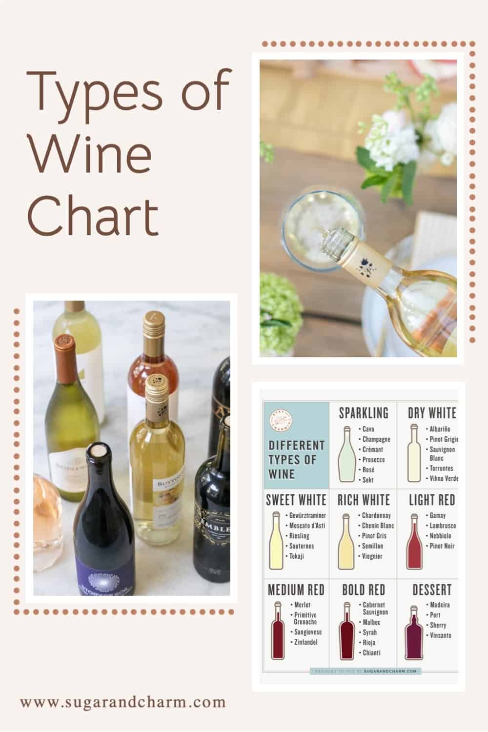 types of wine chart graphic 