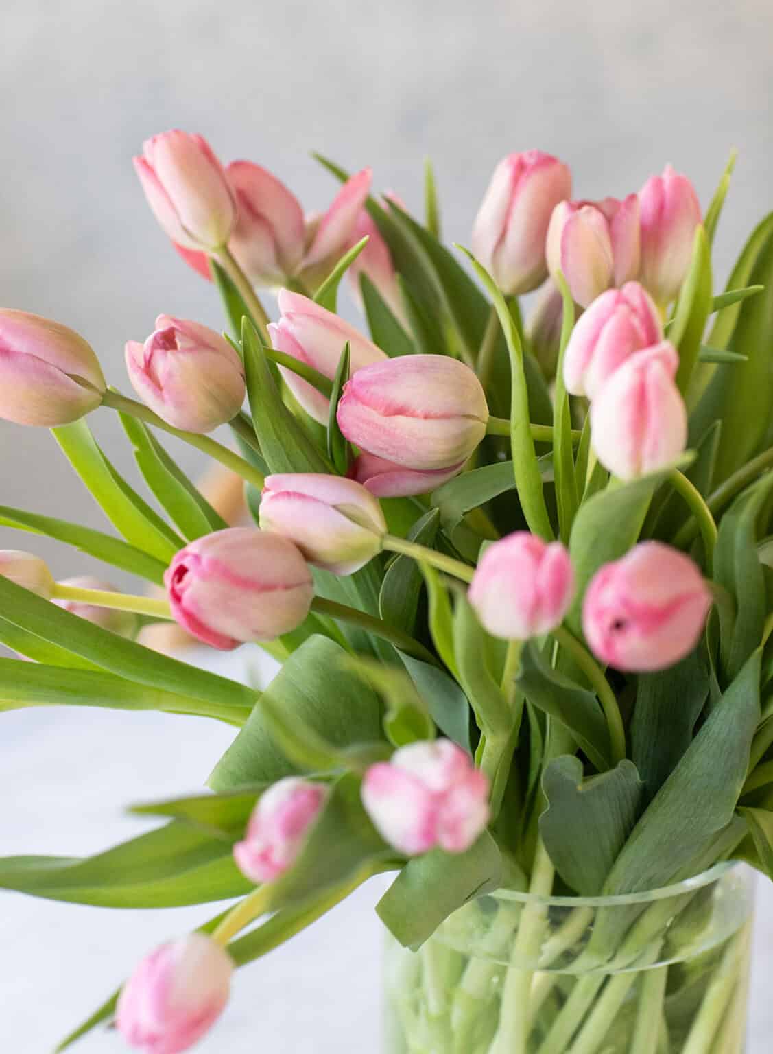 How to Arrange Cut Tulips in a Vase - Sugar and Charm