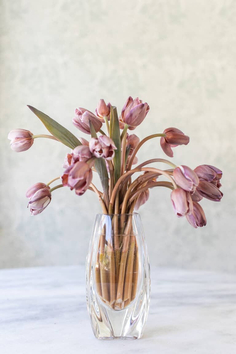 How to Arrange Cut Tulips in a Vase - Sugar and Charm