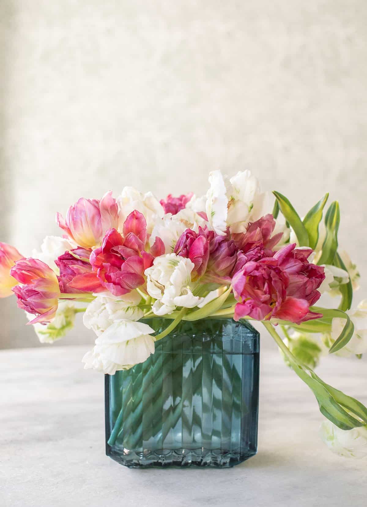 pink and white parrot tulips in a blue vase