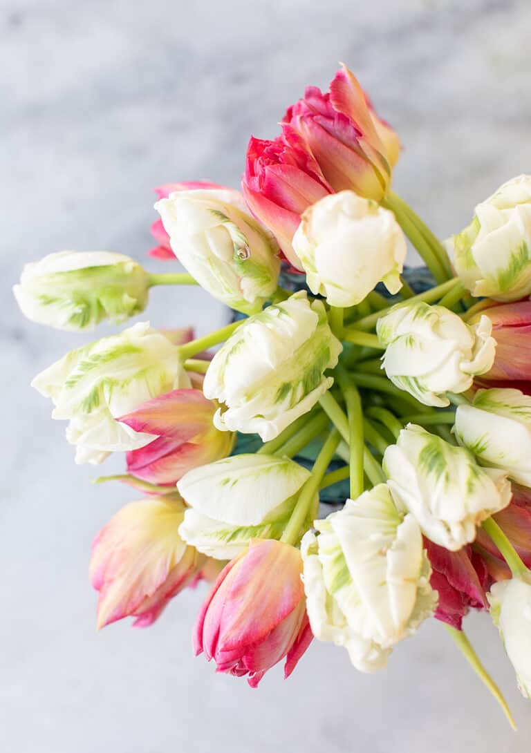 How to Arrange Cut Tulips in a Vase - Sugar and Charm