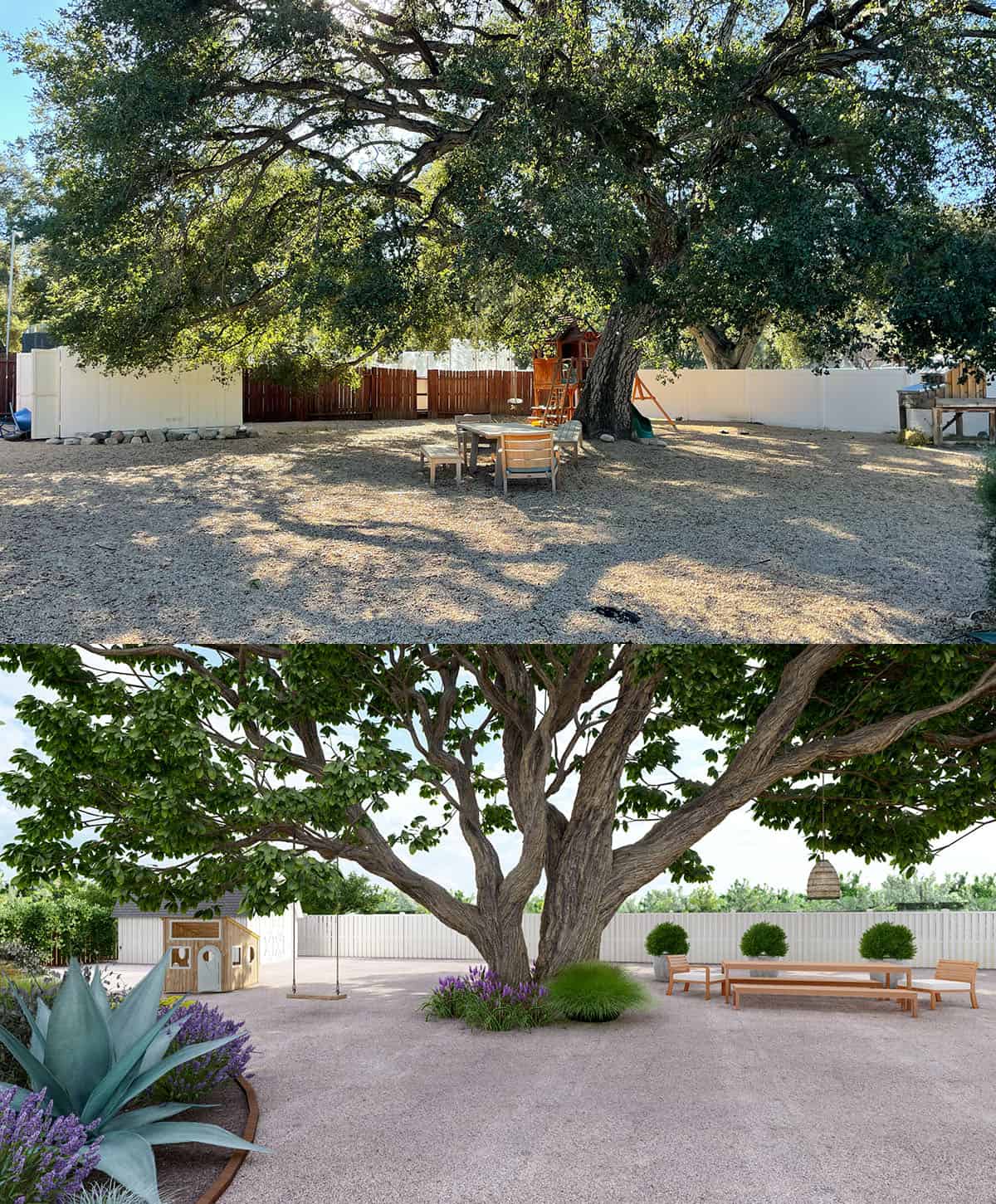 before and after backyard