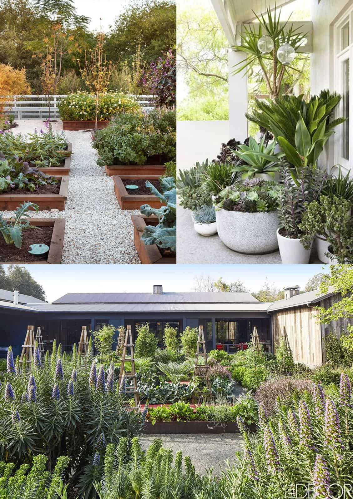 backyard garden inspiration