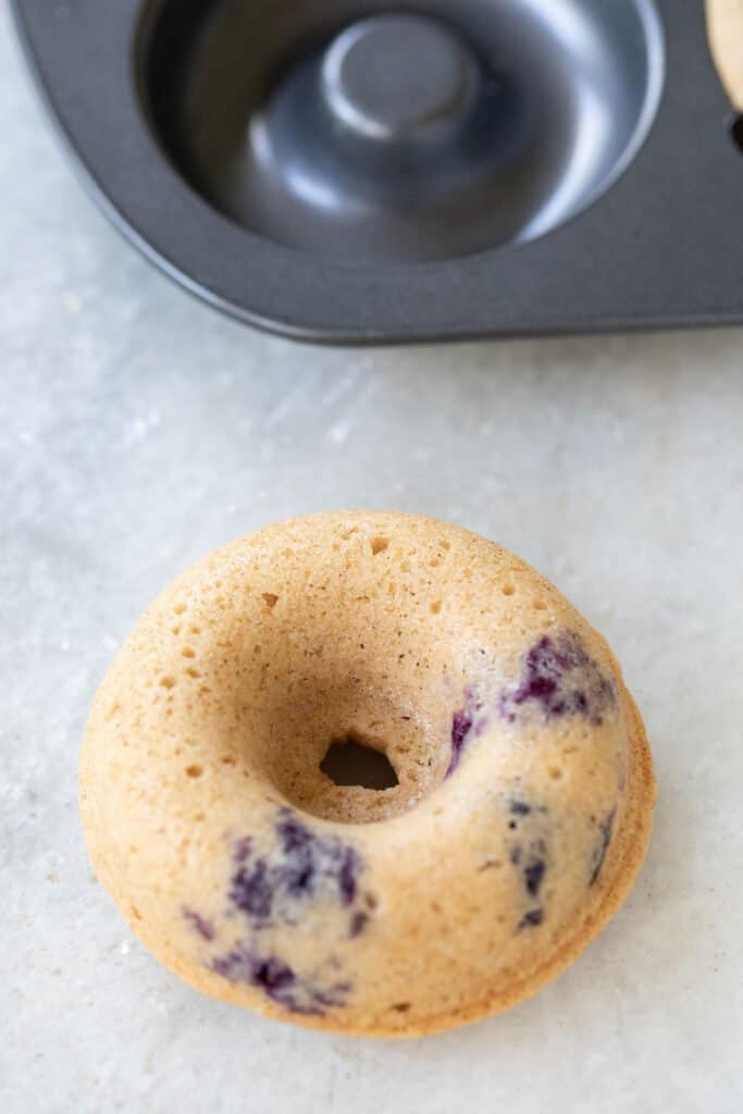 Unglazed blueberry donut.
