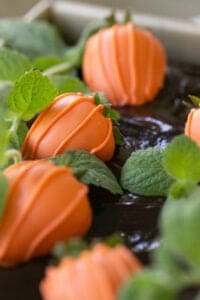 chocolate covered strawberry pumpkins