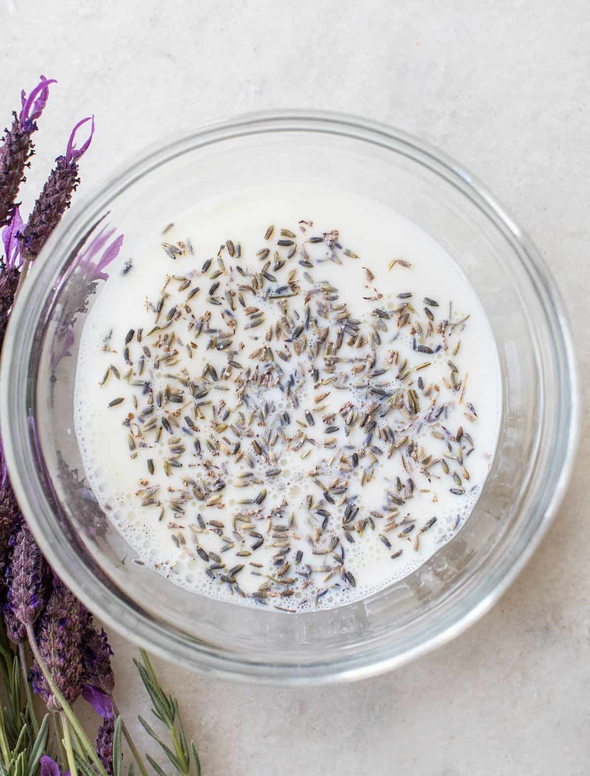 lavender infusing in milk to make lavender milk