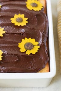 a buttermilk cake with chocolate frosting