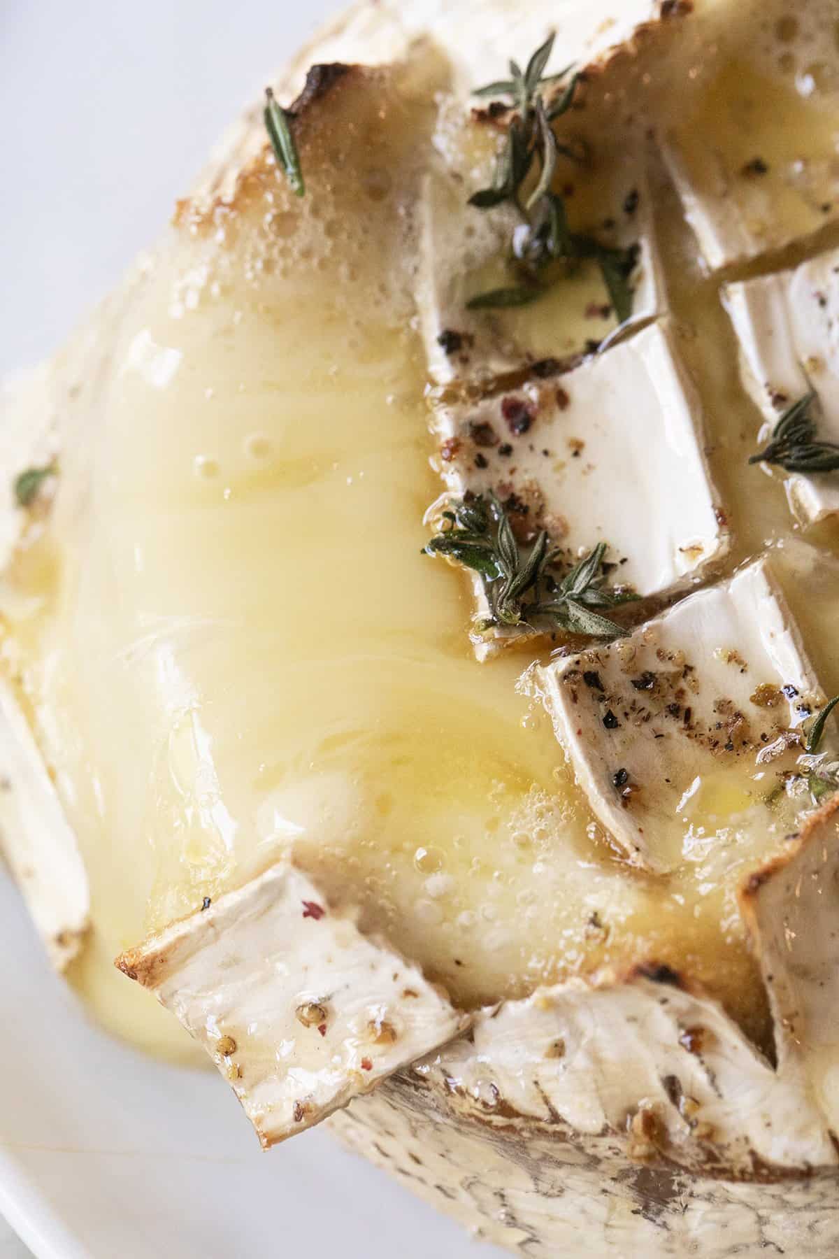 melted baked brie cheese 