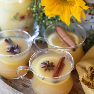 Fall Slow Cooker Mulled Apple Cider