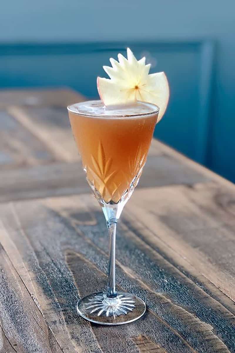 apple cider cocktail with apples
