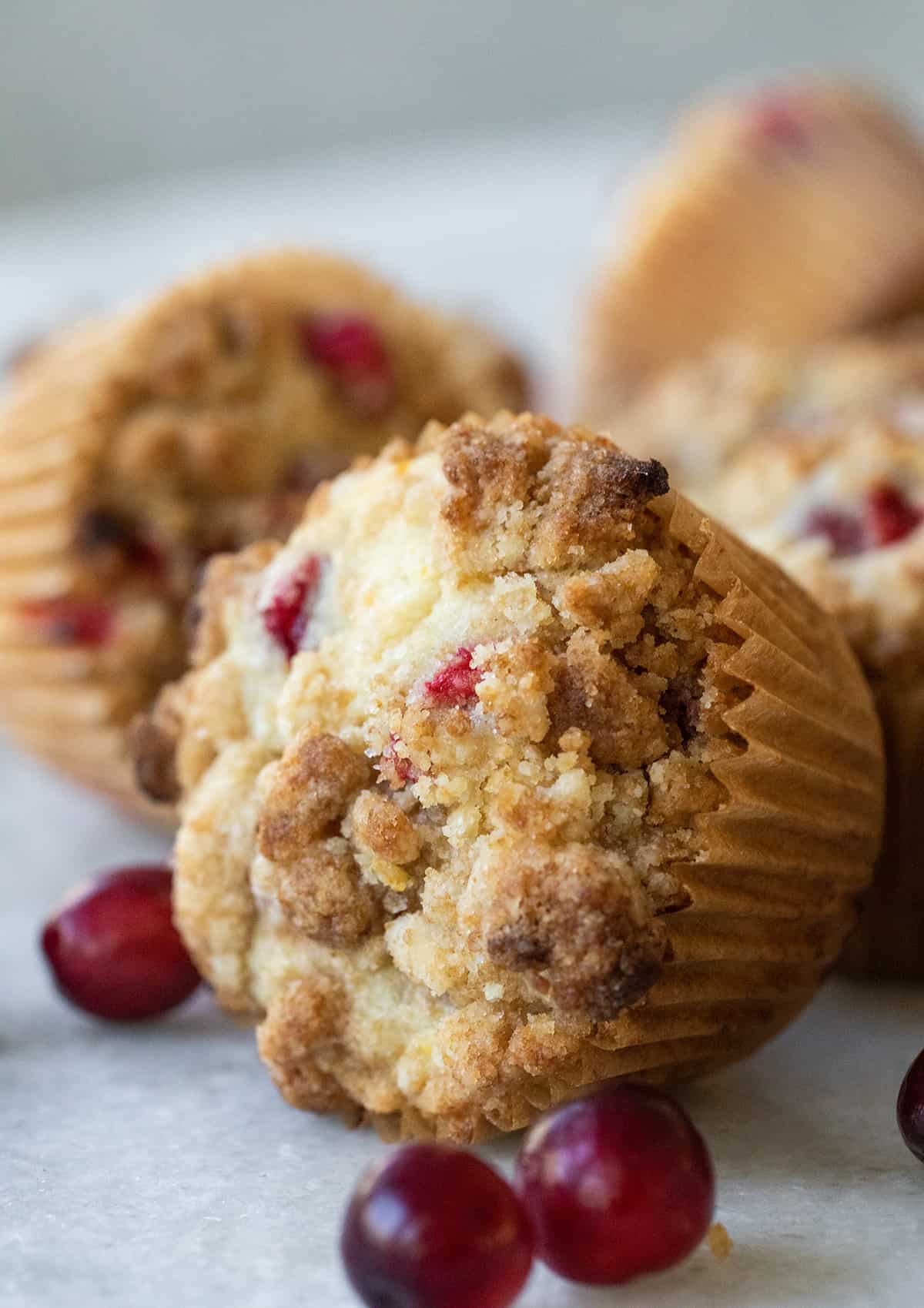 A cranberry orange muffin on it's side.