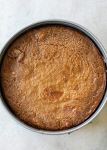 baked gooey pumpkin butter cake in a springform pan.
