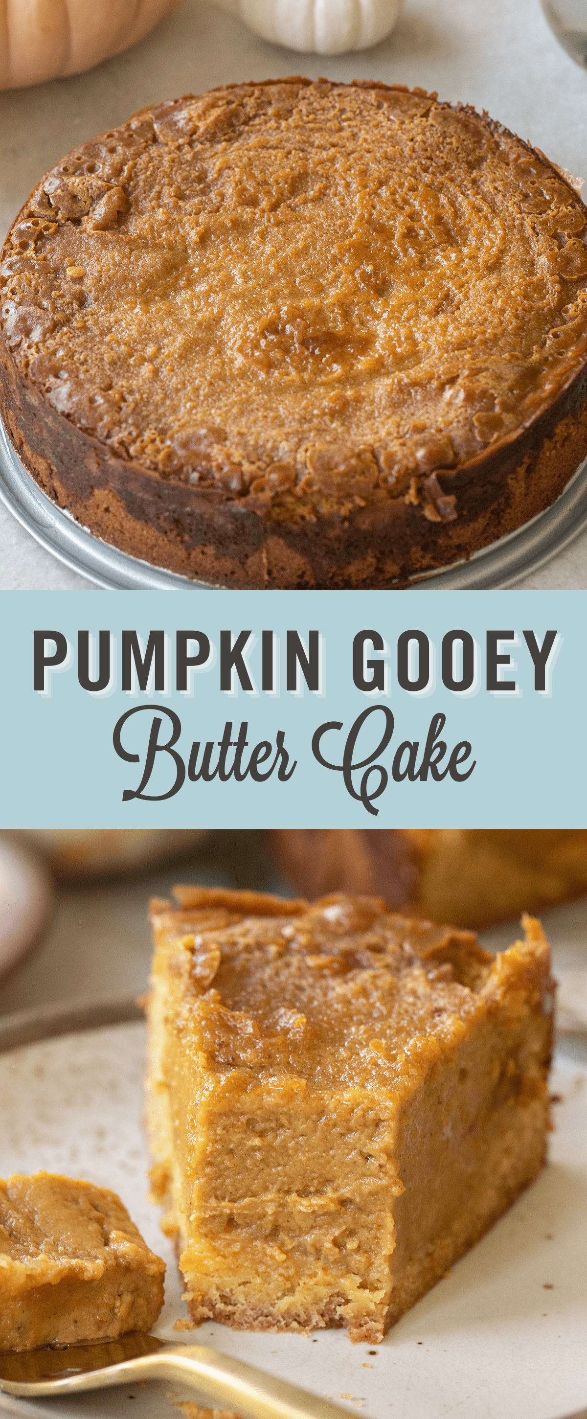 Gooey pumpkin butter cake recipe.