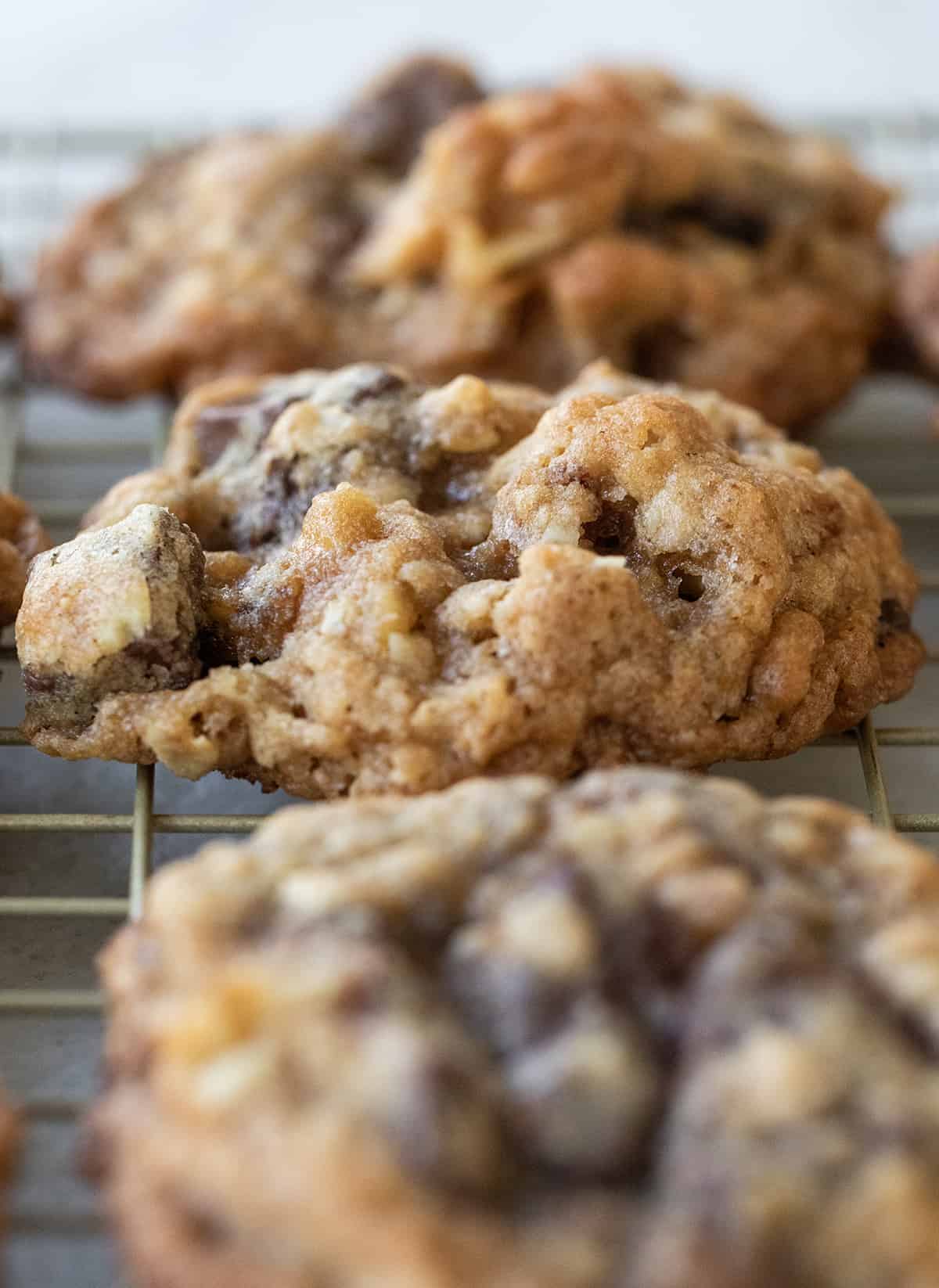 Chewy chocolate chip cookies with walnuts on a cooling rack.