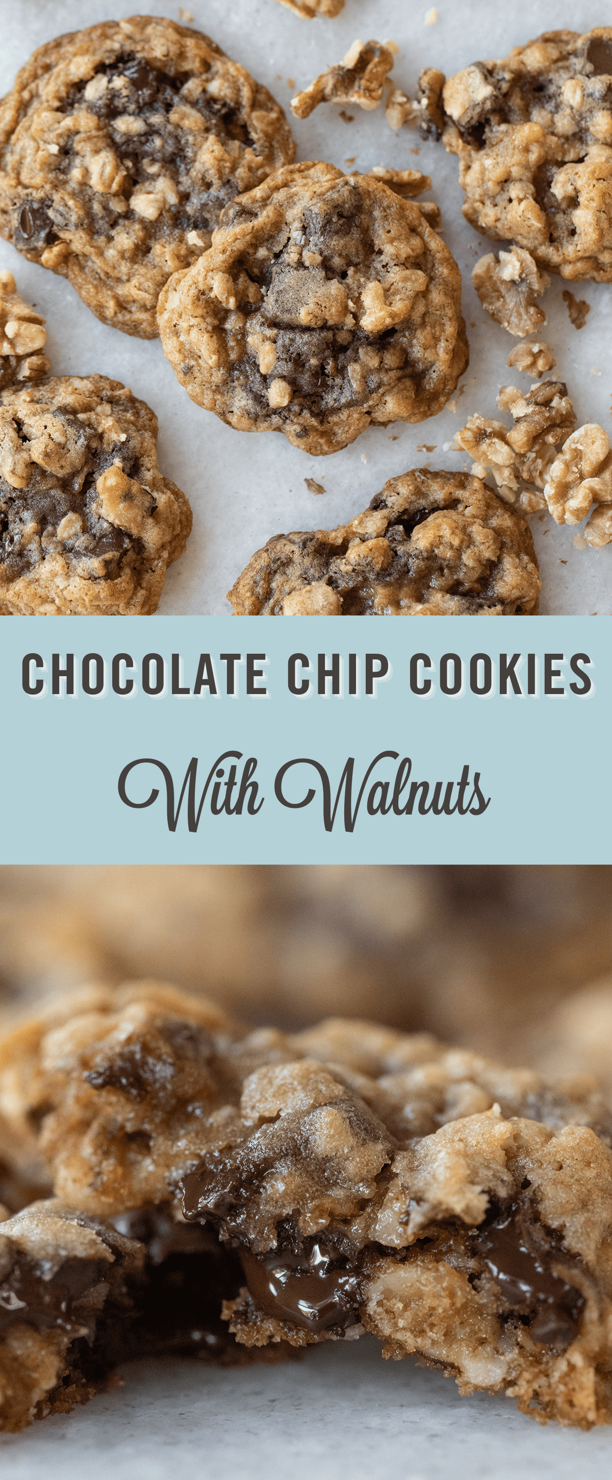 Chocolate chip cookies with walnuts.