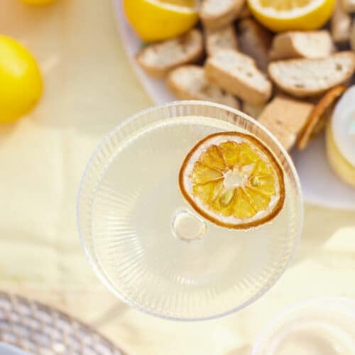 Easy lemon Spritz with a dehydrated lemon.