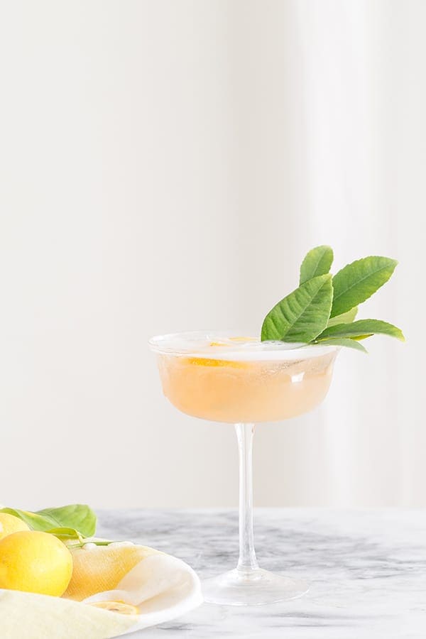 Jasmine and ginger cocktail.